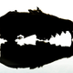 Illustration for article titled Shooting Challenge Silhouettes Gallery 2